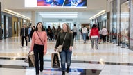 Shopping malls better adapt to modern times to avoid total death, serial entrepreneur says