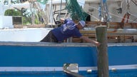 US shrimpers face ‘double whammy’ from soaring fuel costs, tariff refunds