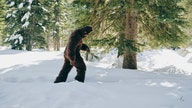 Hard Mountain Dew offers $1M bounty to anyone who can prove Bigfoot is real