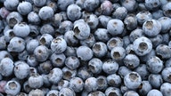 Life-threatening Listeria risk prompts massive frozen blueberry recall across multiple states