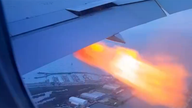 Flames burst from Boeing plane after reported bird strike, video shows