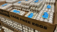 Border Patrol sees uptick in egg smuggling on southern border amid skyrocketing prices