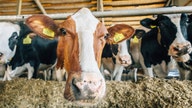 Trump administration pushes back on NJ town moving to seize 175-year-old family farm via eminent domain