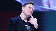 'TRAITORS': Musk calls for ultimate penalty for those opposed to requiring voters to prove citizenship