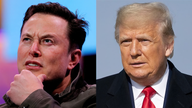 Elon Musk donates to group working to elect Trump: report