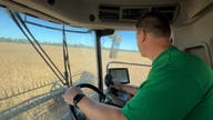China trade freeze squeezes US soybean farmers as costs climb, profits vanish