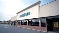 Food Lion, Stop &amp; Shop and Hannaford websites face outages after cybersecurity issue