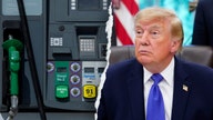 First Russian diesel tanker heads to New York after Trump's deal with Putin to lower fuel prices