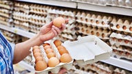 Eggs recalled over risk of salmonella contamination: report