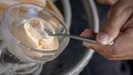 Popular So Delicious frozen dessert recalled over possible stone contamination