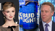 Bud Light hasn't recovered from Mulvaney controversy, ex-Anheuser-Busch exec says