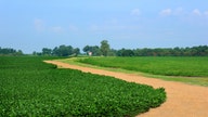 New legislation aims to tell China 'no' on buying up American farmland
