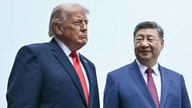 Democratic lawmakers urge Trump to preserve ban on Chinese automakers as he prepares to meet Xi