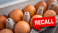 Consumers asked to throw away millions of eggs as FDA upgrades recall status to most serious category