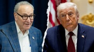 Schumer accuses Trump of 'selling out America' after greenlighting Nvidia AI chip exports to China