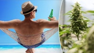 Sober-curious for the summer? THC-infused beverages are on a high