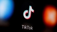 Appeals court upholds law banning TikTok if not sold