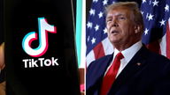 White House confirms new 90-day extension of reprieve on TikTok ban: 'Up and running'