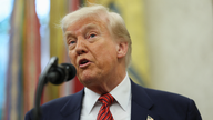 Trump expected to announce trade deal with UK: report