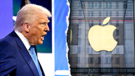 President Trump calls on Apple to abandon DEI 'hoax' following shareholder vote