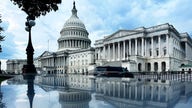 America's $40T national debt is 'stealing from our next generation,' economist warns