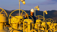 Energy CEO says Americans aren't benefiting from low prices because of one major roadblock