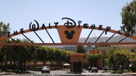 Disney theme park attendance slumps