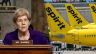 Sen Warren blasted for cheering blocking of merger that might have saved Spirit Airlines